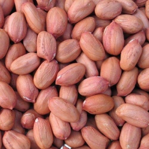 PEA NUT (MUNGFALI) HAPPY